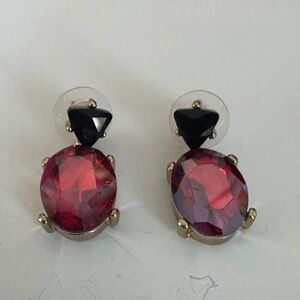 Elegant Red and Black Gemstone Earrings